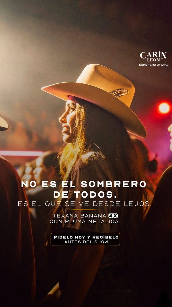 Fan con sombrero en concierto 1